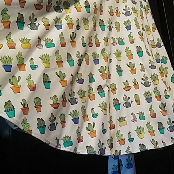 Dress cactus - Picture 9 of 12